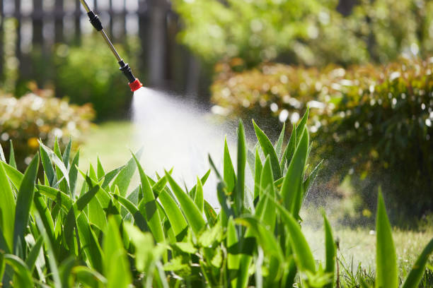 24/7 Emergency Ant Control experts in La Habra, CA