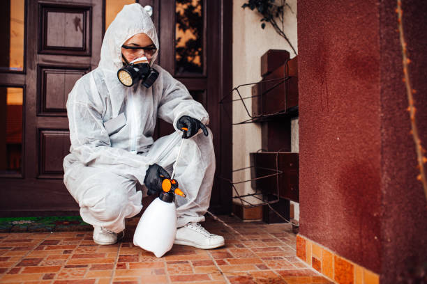 Reliable Ant Control contractor in La Habra, CA by Nex Pest Control