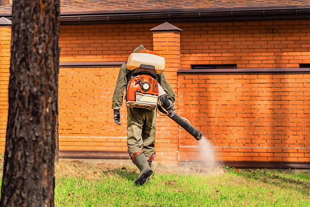 Trusted Fumigation Services service in La Habra, CA - Nex Pest Control